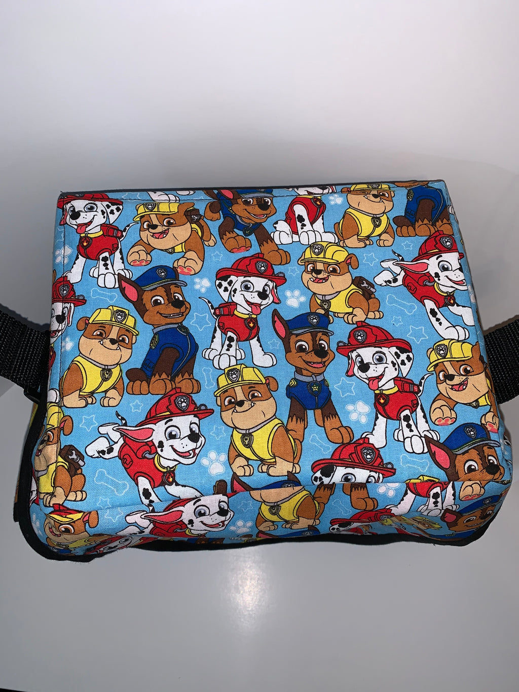 Suction Machine Carrying Case - Paw Patrol