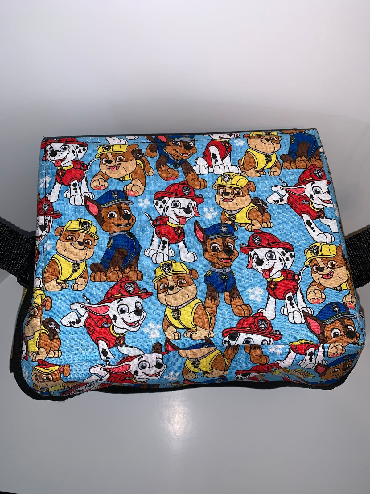Suction Machine Carrying Case - Paw Patrol